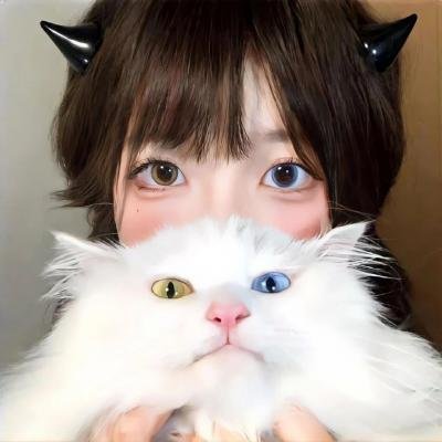 爱猫人